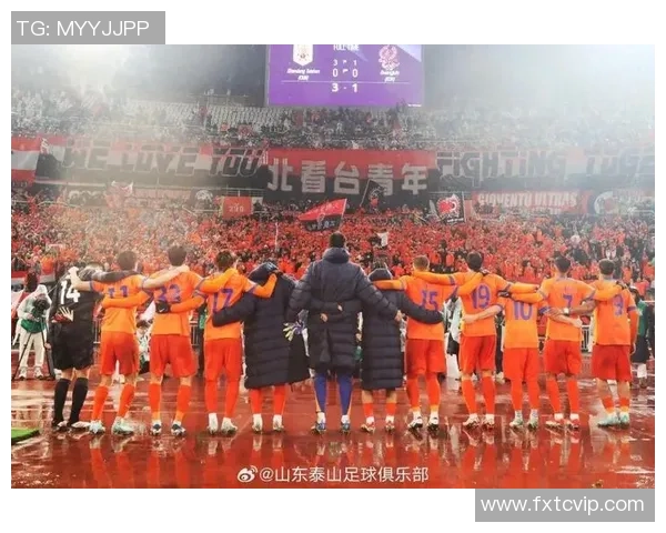 中国足球比赛精彩瞬间回顾与球迷热情互动的生动画面展示
